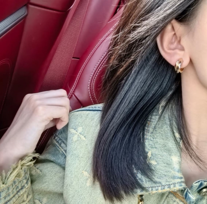 Ca*t1er earrings